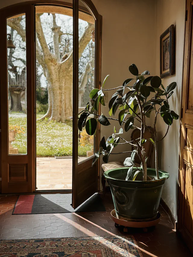 Entrée avec plante - Maison d'hôtes les Arnauds à Aix-en-Provence